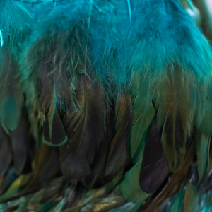 Aqua Two- Tone (Long)