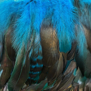 Turquoise Two-Tone (Long)